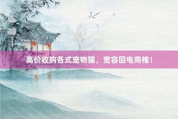 高价收购各式宠物猫,宽容回电商榷!