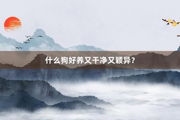 什么狗好养又干净又颖异？